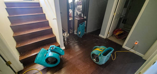 Best Fire Damage Restoration  in Durango, CO