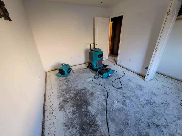 Best Water damage restoration specialists  in Durango, CO