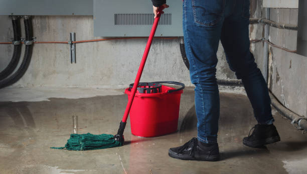 Best 24/7 water damage repair  in Durango, CO
