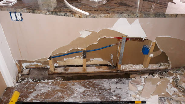 Best Flood restoration services  in Durango, CO