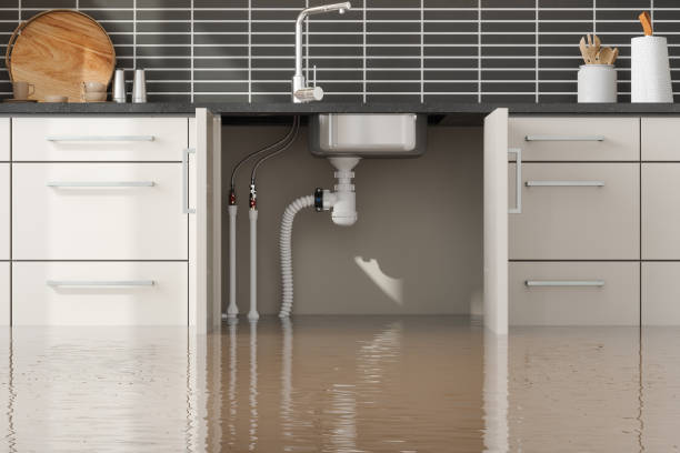 Best Emergency water damage restoration  in Durango, CO