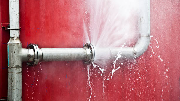 Best Local water damage restoration  in Durango, CO